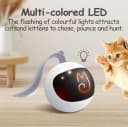 Interactive Cat Ball Toy Set