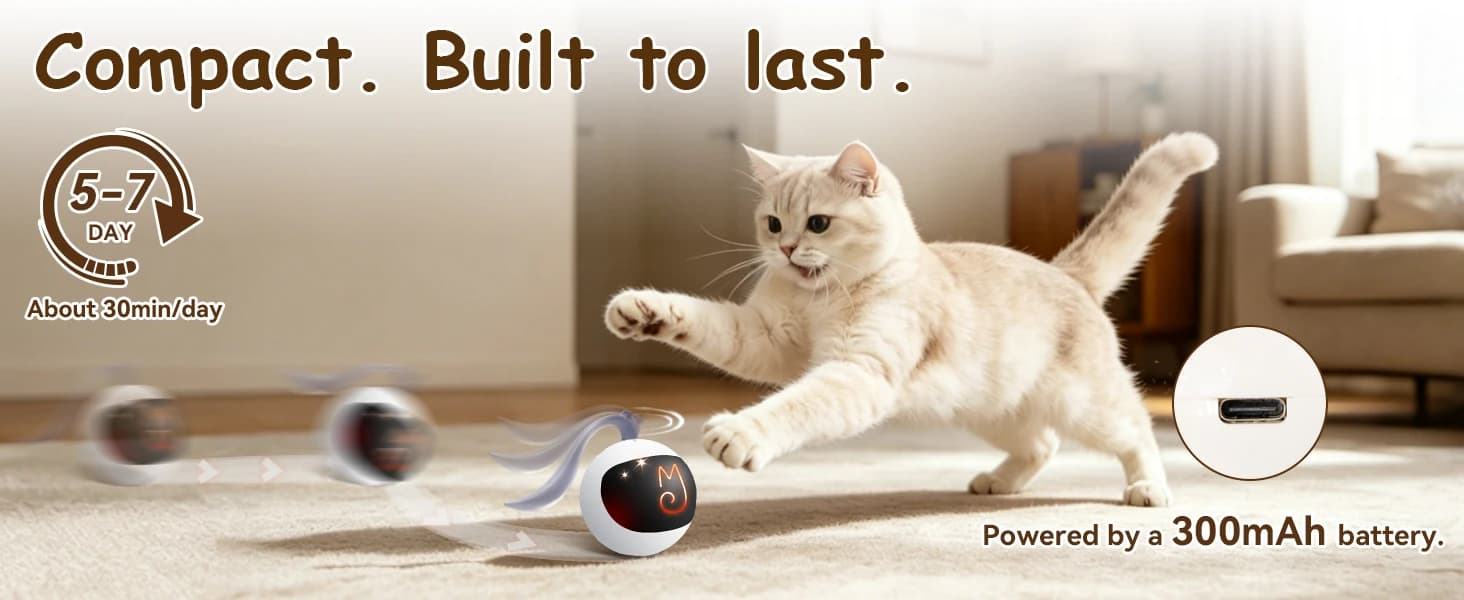 Interactive Cat Ball Toy Set — product details