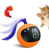 Interactive Cat Ball Toy Set — collection imagery