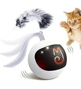 Interactive Cat Ball Toy Set — collection imagery