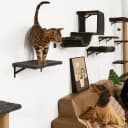Cat Wall Shelves — 4 in 1 Set