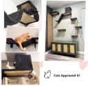 Cat Wall Shelves — 4 in 1 Set