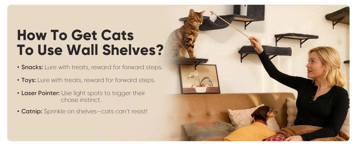 Cat Wall Shelves — 4 in 1 Set — product details