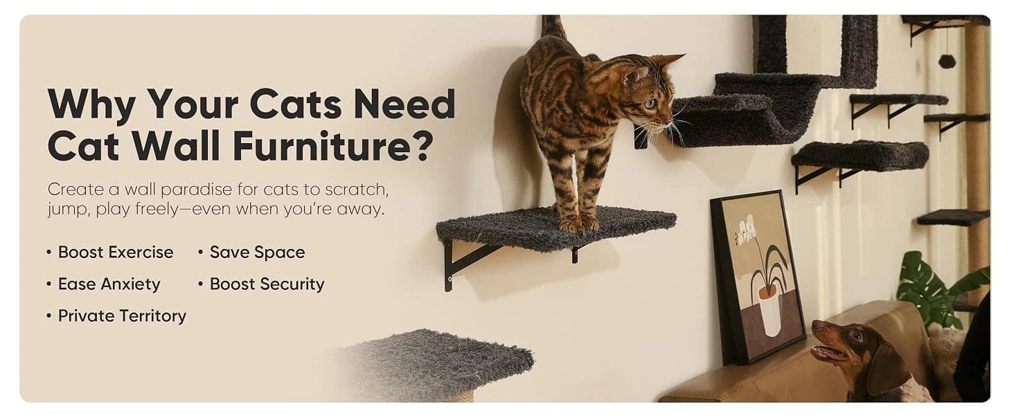 Cat Wall Shelves — 4 in 1 Set — product details