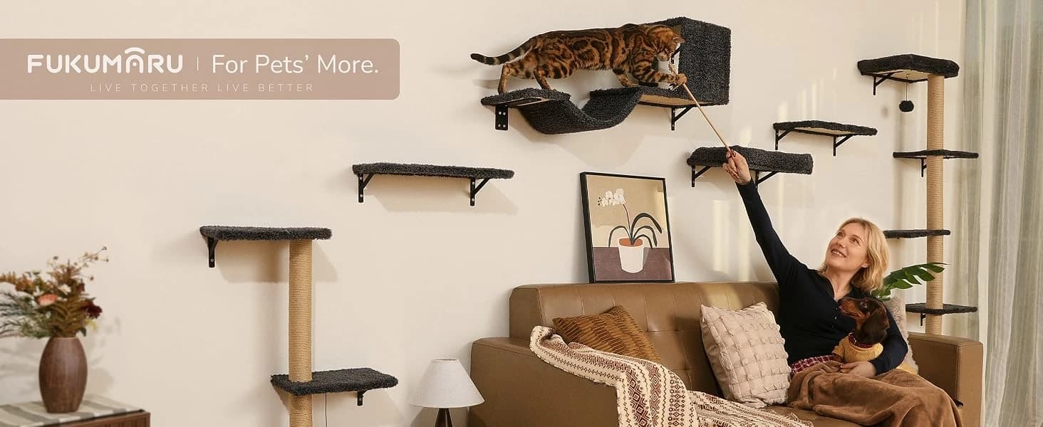 Cat Wall Shelves — 4 in 1 Set — product details