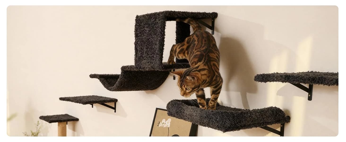 Cat Wall Shelves — 4 in 1 Set — product details