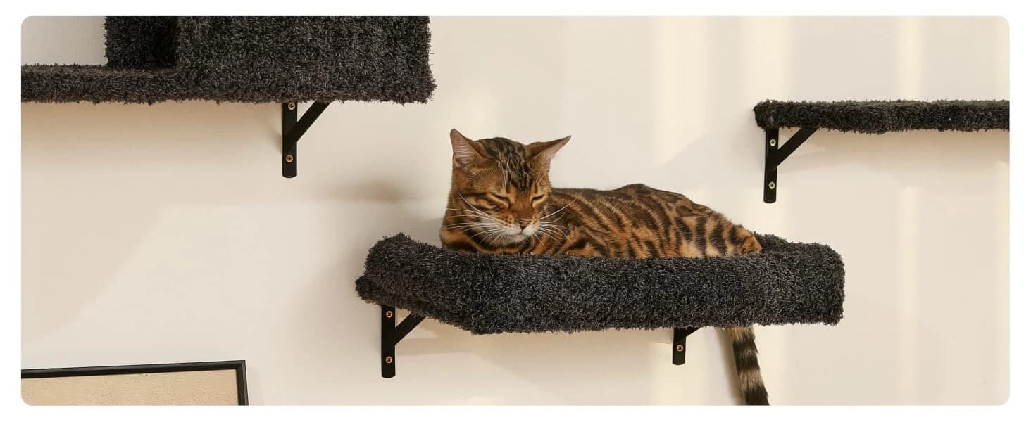Cat Wall Shelves — 4 in 1 Set — product details