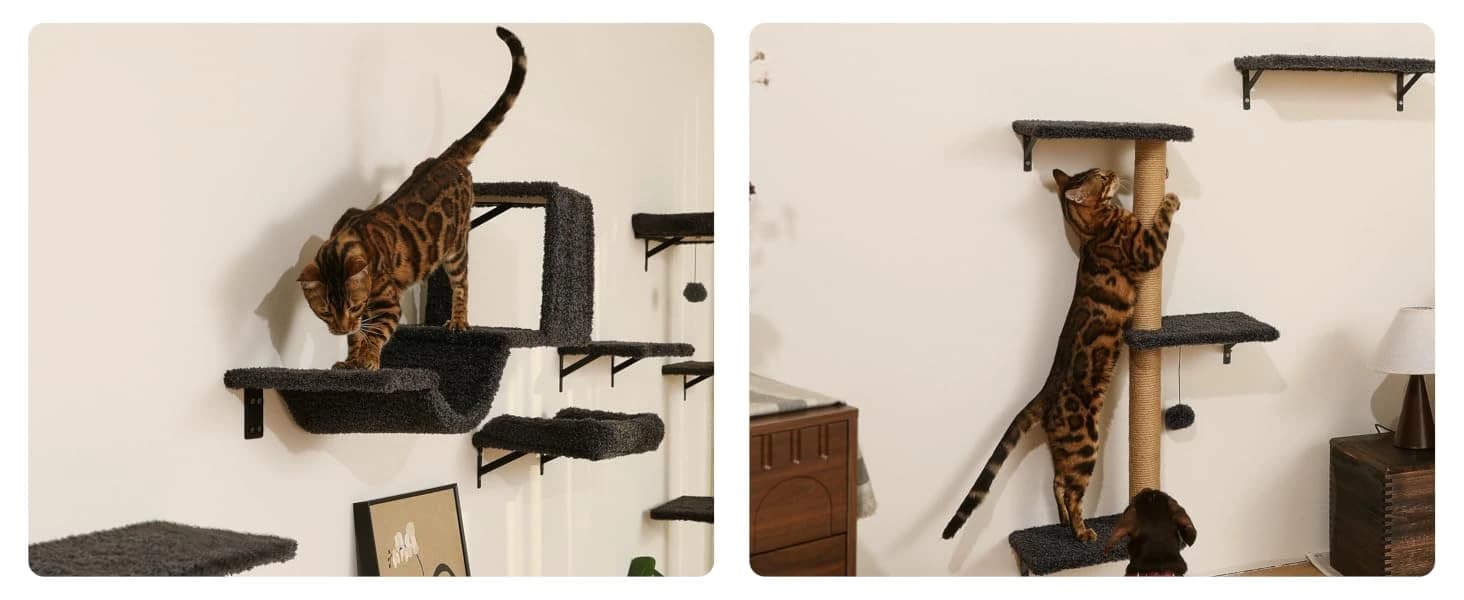 Cat Wall Shelves — 4 in 1 Set — product details