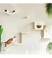 Cat Wall Shelves — 4 in 1 Set — collection imagery