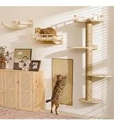 Cat Wall Shelves — 4 in 1 Set — collection imagery