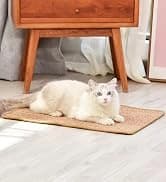 Cat Wall Shelves — 4 in 1 Set — collection imagery