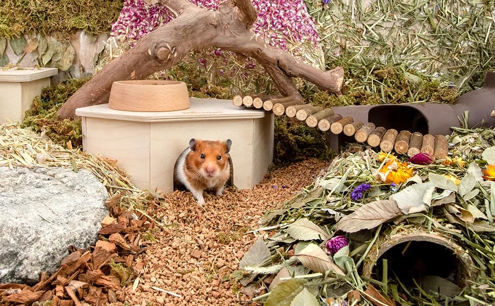 Birch Chamber-Maze Hamster Hideout - Small Pets Woodland House Habitats Decor for Hamster Mice Gerbils Mouse — product details