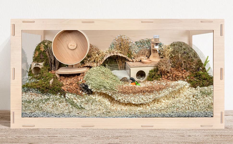 Birch Chamber-Maze Hamster Hideout - Small Pets Woodland House Habitats Decor for Hamster Mice Gerbils Mouse — How To Build The Scene In The Villa for Your Hamster?