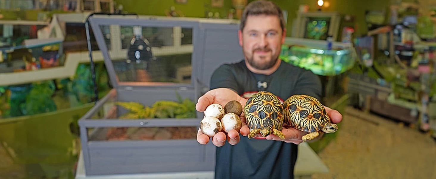 Wooden Tortoise House Large Tortoise Habitat Cage — Indoor Tortoises Enclosure for Small Animals — collection imagery