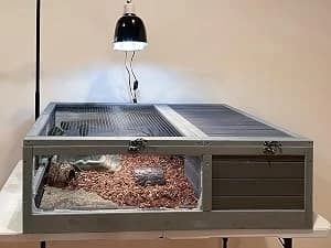 Wooden Tortoise House Large Tortoise Habitat Cage — Indoor Tortoises Enclosure for Small Animals — collection imagery