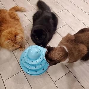 Cat Toy Roller 3-Level Turntable Cat Toys with Six Colorful Balls — collection imagery