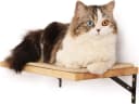 Cat Wall Shelves — 17 x 10 Inch