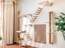 Cat Wall Shelves — 17 x 10 Inch