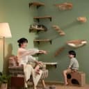 Cat Wall Shelves — 17 x 10 Inch