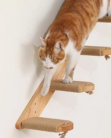 Cat Wall Shelves — 17 x 10 Inch — collection imagery