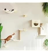 Cat Wall Shelves — 17 x 10 Inch — collection imagery