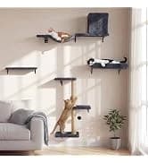Cat Wall Shelves — 17 x 10 Inch — collection imagery
