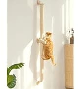 Cat Wall Shelves — 17 x 10 Inch — collection imagery