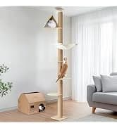 Cat Wall Shelves — 17 x 10 Inch — collection imagery