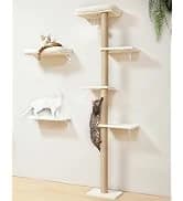 Cat Wall Shelves — 17 x 10 Inch — collection imagery
