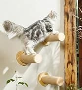 Cat Wall Shelves — 17 x 10 Inch — collection imagery