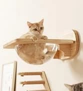 Cat Wall Shelves — 17 x 10 Inch — collection imagery
