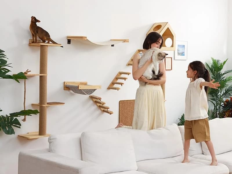 Cat Wall Shelves — 17 x 10 Inch — Why Your Cats Need Cat Wall Furniture?
