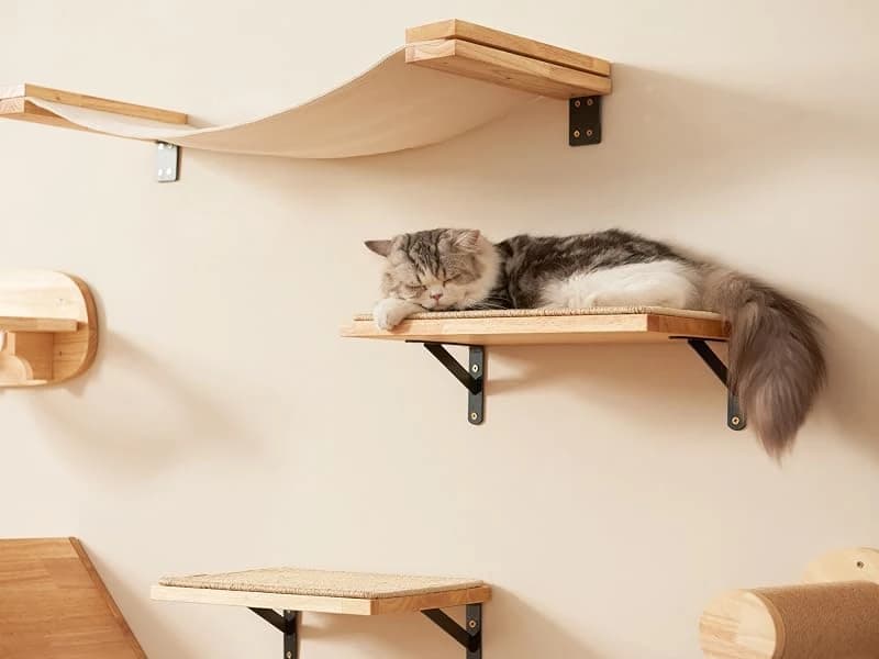 Cat Wall Shelves — 17 x 10 Inch — Trustworthy Natural Material