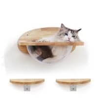 Cat Wall Shelves — 17 x 10 Inch — collection imagery