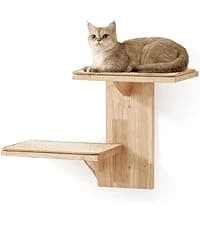 Cat Wall Shelves — 17 x 10 Inch — collection imagery
