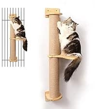 Cat Wall Shelves — 17 x 10 Inch — collection imagery