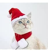 Pet Sailor Costume for Cats Small Dogs Rabbits — collection imagery