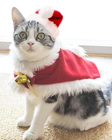 Pet Sailor Costume for Cats Small Dogs Rabbits — collection imagery