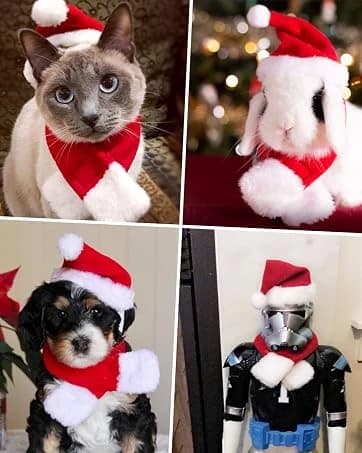 Pet Sailor Costume for Cats Small Dogs Rabbits — collection imagery