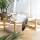 Large Cat Hammock — Raised Dog Bed for Outdoor and Indoor