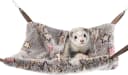 Hanging Hammock Nap Sack Swing Bag Pet Sleeper for Ferret Rat Sugar Glider and Other Small Animals (Cream