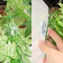 Reptile Plants Hanging Silk Terrarium Plants with Suction Cup for Bearded Dragons