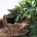 Reptile Plants Hanging Silk Terrarium Plants with Suction Cup for Bearded Dragons