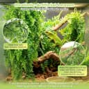 Reptile Plants Hanging Fake Vines Boston Climbing Terrarium Plant with Suction Cup for Bearded Dragons Lizards