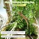 Reptile Plants Hanging Fake Vines Boston Climbing Terrarium Plant with Suction Cup for Bearded Dragons Lizards