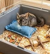 Guinea Pig Hay Feeder — Hanging Rabbit Hay Feeder Bag. — collection imagery