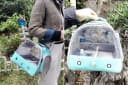 Bird Carrier — Portable Small Bird Parrot Parakeet Carrier with Standing Perch and Mat
