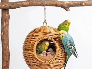 Retractable Bird Leashes — 20ft Lightweight Bite-Resistant Steel Wire — collection imagery
