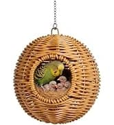 Retractable Bird Leashes — 20ft Lightweight Bite-Resistant Steel Wire — collection imagery