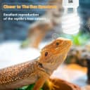 UVA UVB Reptile Light 10.0 — Desert UVB 150 Compact Fluorescent Lamp